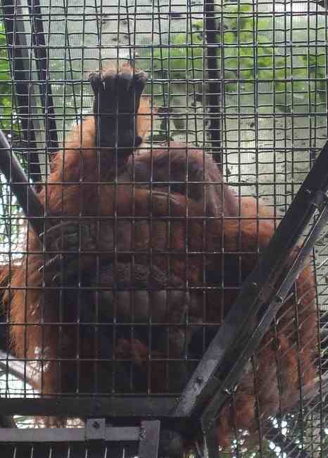 n_HongKong mei 2008 027.jpg